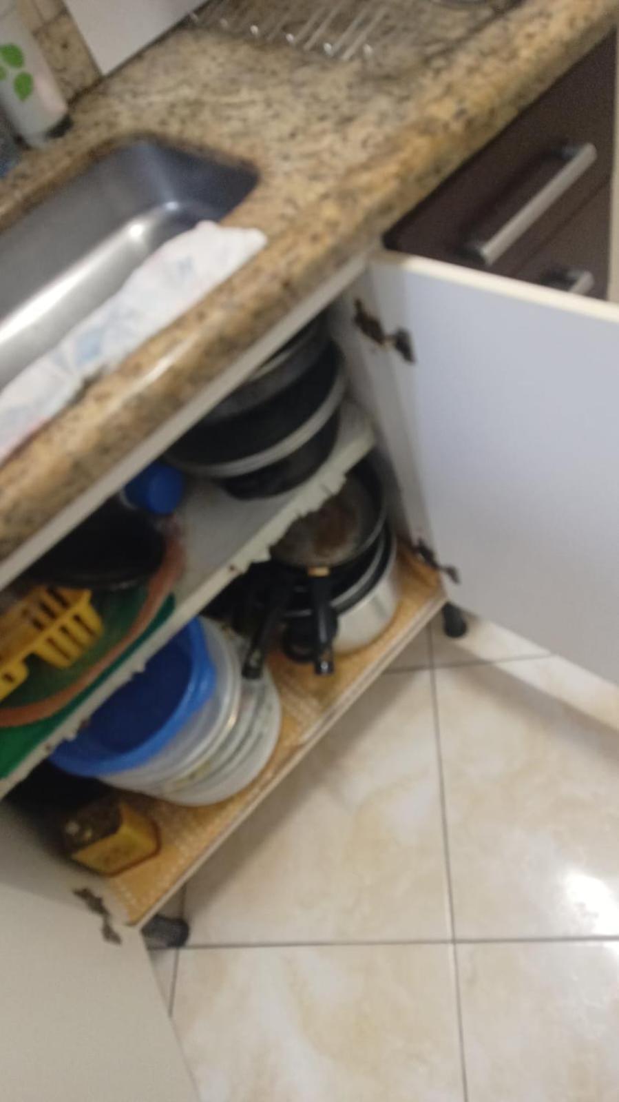 Apto A 50M Da Praia, Com Ar Condicionado, Wifi , Portaria 24H Praia Grande  Luaran gambar